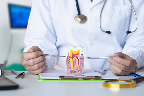 Best Dental Abscess Treatment in Ingram, TX